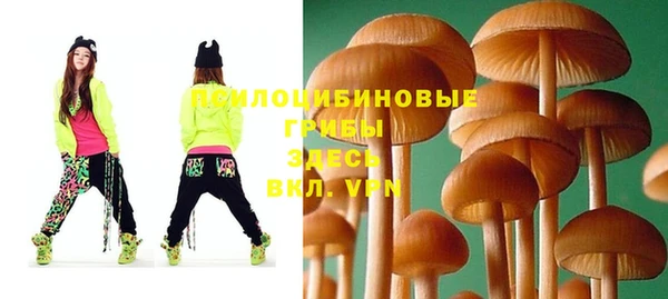 jwh Белокуриха