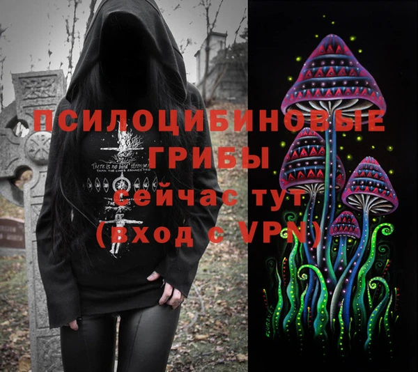 jwh Белокуриха